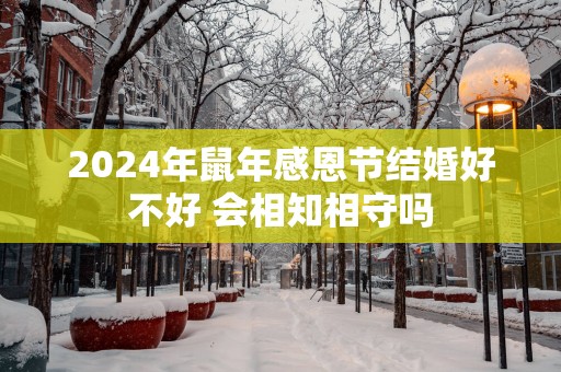 2025年蛇年感恩节结婚好不好 会相知相守吗