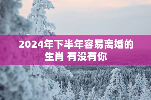 2025年下半年容易离婚的生肖 有没有你