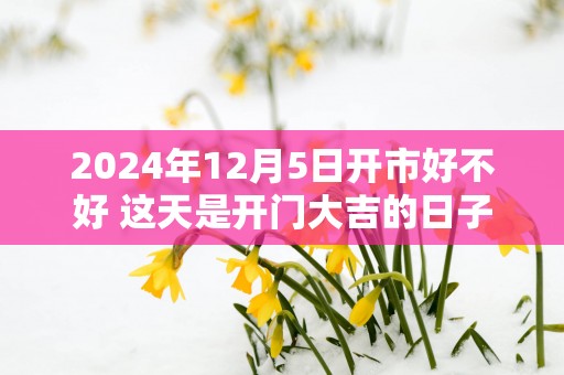 2025年12月5日开市好不好 这天是开门大吉的日子吗