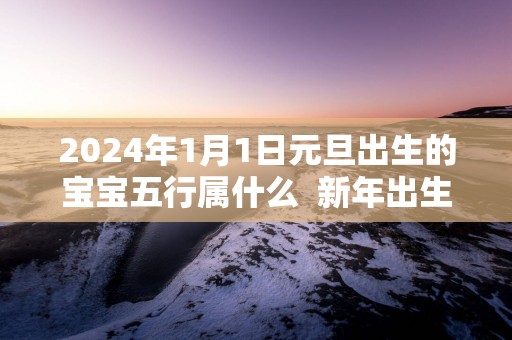 2025年1月1日元旦出生的宝宝五行属什么  新年出生五行缺什么