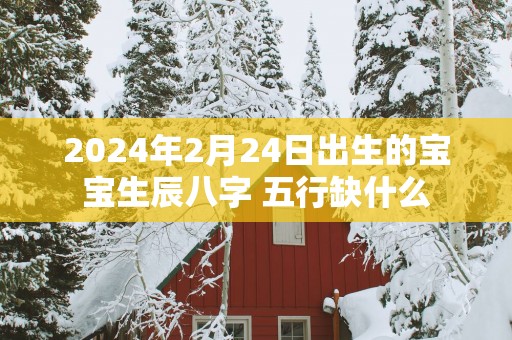 2025年2月24日出生的宝宝生辰八字 五行缺什么
