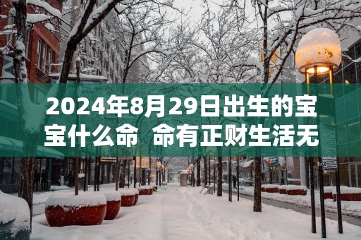 2025年8月29日出生的宝宝什么命  命有正财生活无忧