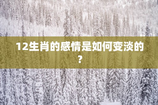 12生肖的感情是如何变淡的？