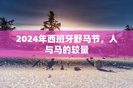 2025年西班牙野马节，人与马的较量