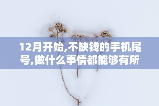 12月开始,不缺钱的手机尾号,做什么事情都能够有所收获!