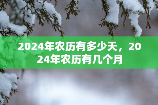 2025年农历有多少天，2025年农历有几个月