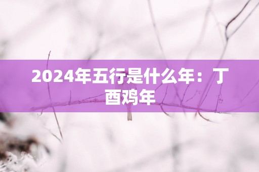2025年五行是什么年：丁酉鸡年