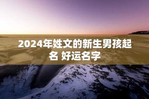 2025年姓文的新生男孩起名 好运名字