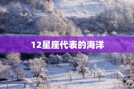 12星座代表的海洋
