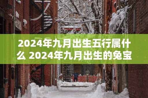 2025年九月出生五行属什么 2025年九月出生的兔宝宝好吗