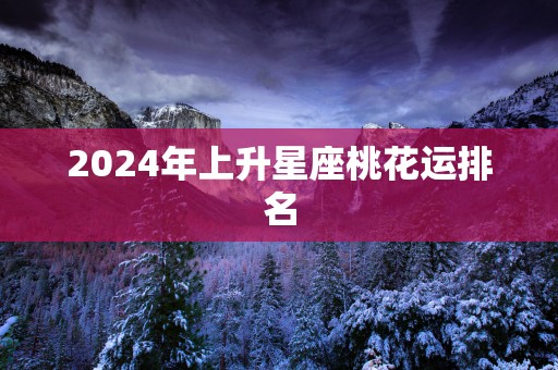 2025年上升星座桃花运排名