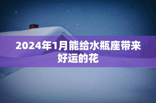 2025年1月能给水瓶座带来好运的花