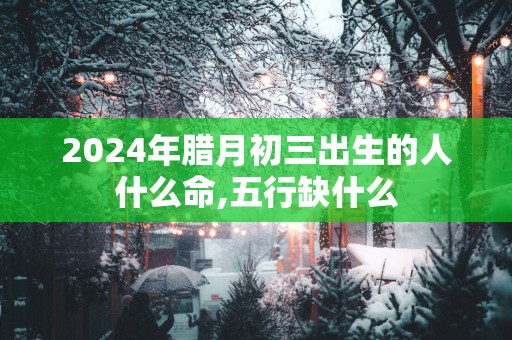 2025年腊月初三出生的人什么命,五行缺什么
