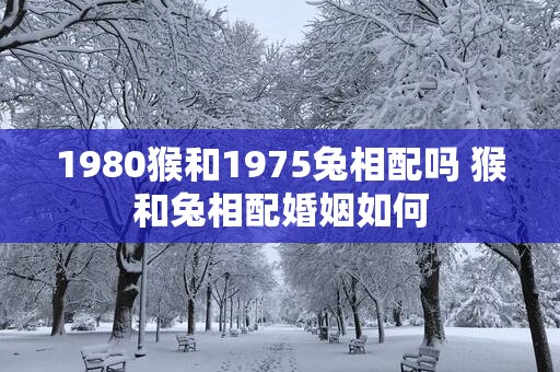 1980猴和1975兔相配吗 猴和兔相配婚姻如何