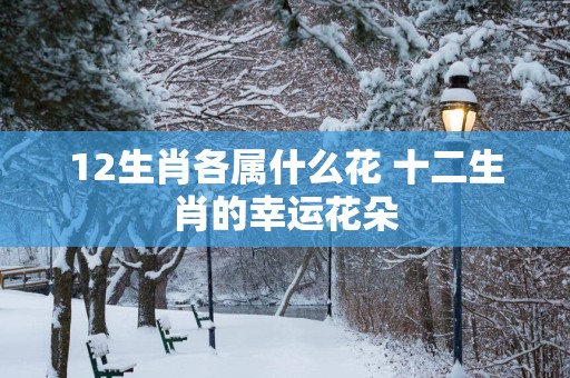 12生肖各属什么花 十二生肖的幸运花朵