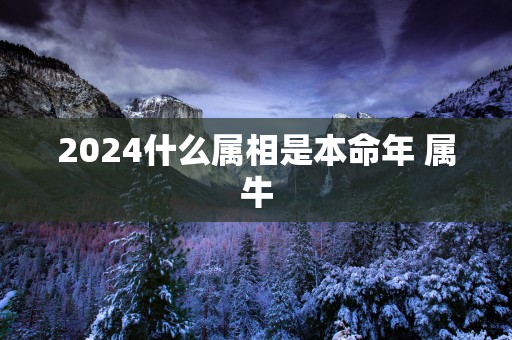 2025什么属相是本命年 属牛