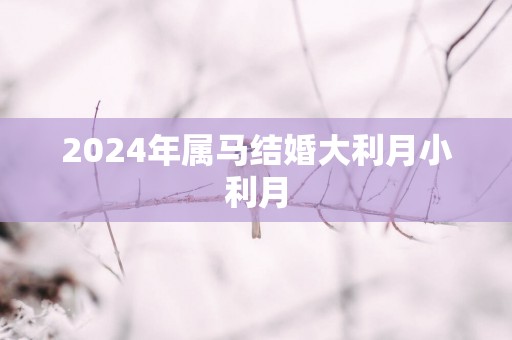 2024年属马结婚大利月小利月