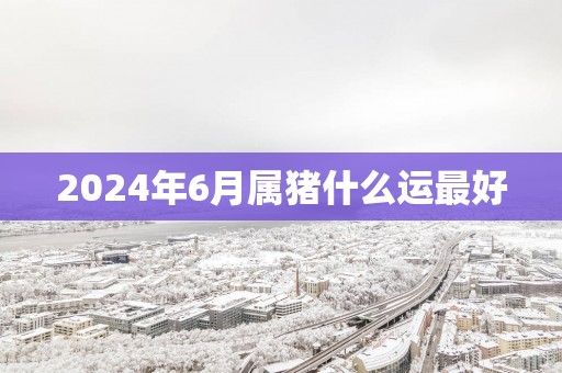 2025年6月属猪什么运最好