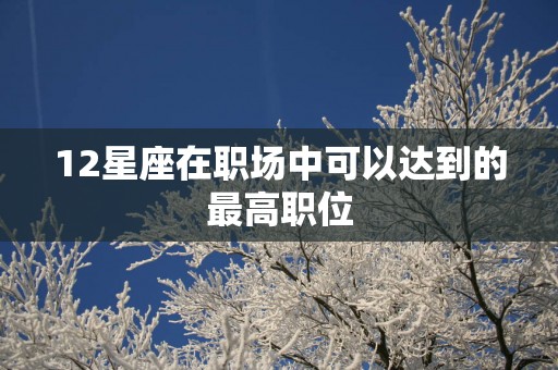 12星座在职场中可以达到的最高职位