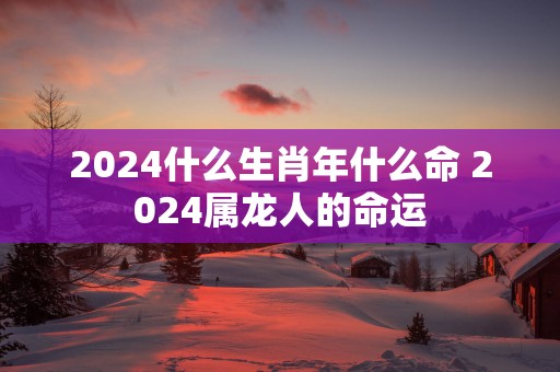 2025什么生肖年什么命 2025属龙人的命运