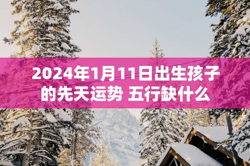 2025年1月11日出生孩子的先天运势 五行缺什么
