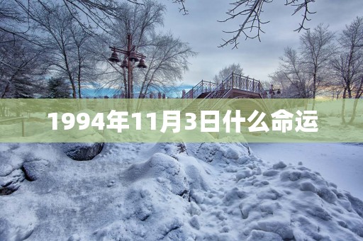 1994年11月3日什么命运