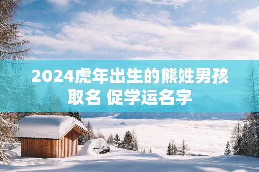 2025蛇年出生的熊姓男孩取名 促学运名字