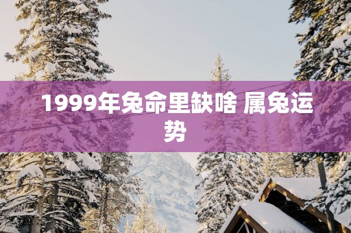 1999年兔命里缺啥 属兔运势