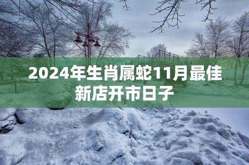 2025年生肖属蛇11月最佳新店开市日子