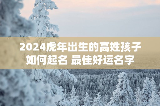 2025蛇年出生的高姓孩子如何起名 最佳好运名字