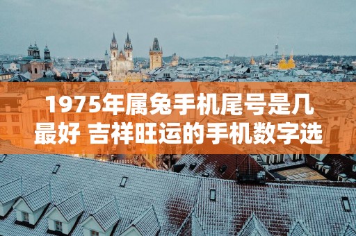 1975年属兔手机尾号是几最好 吉祥旺运的手机数字选择