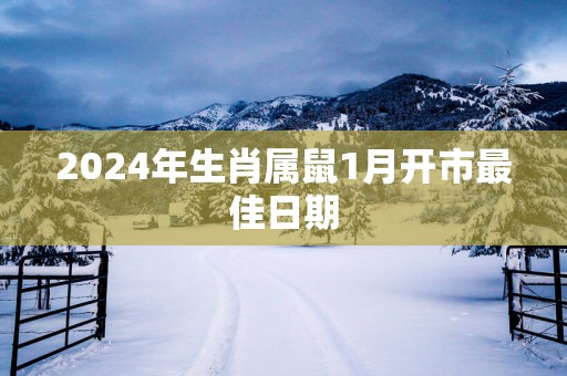 2025年生肖属鼠1月开市最佳日期