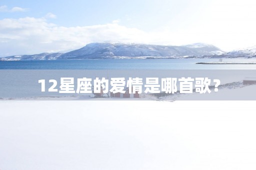 12星座的爱情是哪首歌？