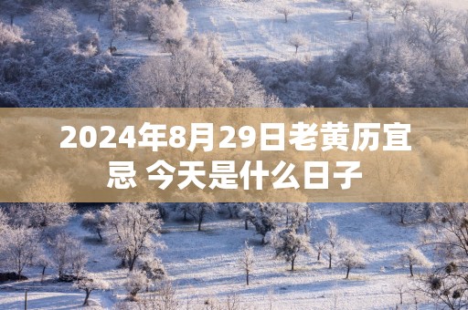 2025年8月29日老黄历宜忌 今天是什么日子