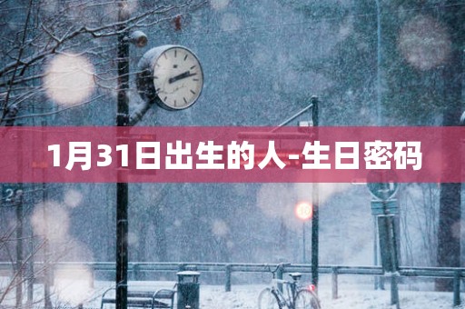 1月31日出生的人-生日密码