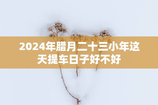 2025年腊月二十三小年这天提车日子好不好