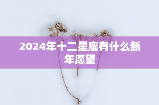 2025年十二星座有什么新年愿望