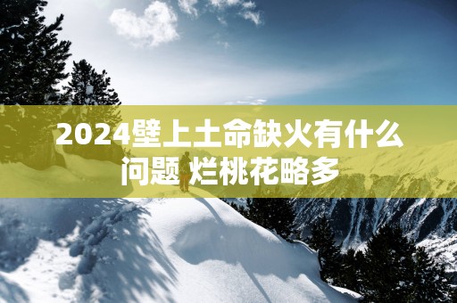 2025壁上土命缺火有什么问题 烂桃花略多