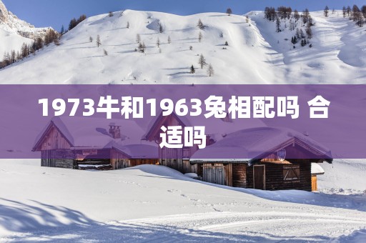 1973牛和1963兔相配吗 合适吗