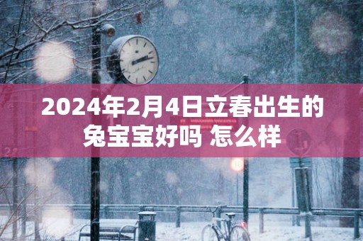 2025年2月4日立春出生的兔宝宝好吗 怎么样