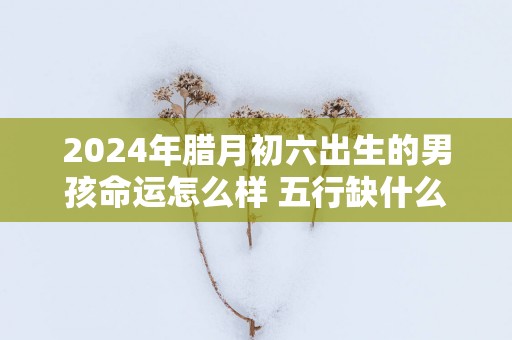2025年腊月初六出生的男孩命运怎么样 五行缺什么