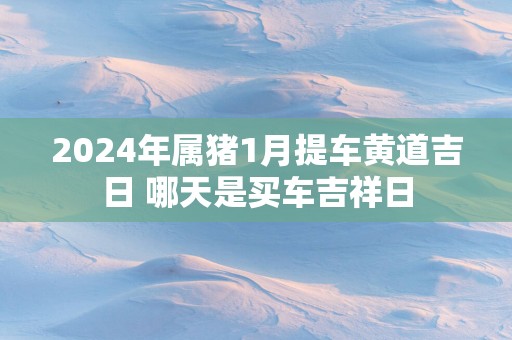 2025年属猪1月提车黄道吉日 哪天是买车吉祥日