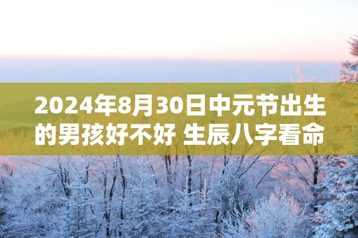 2025年8月30日中元节出生的男孩好不好 生辰八字看命