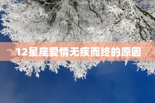 12星座爱情无疾而终的原因