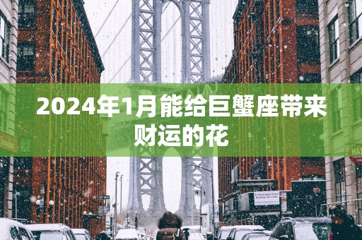 2025年1月能给巨蟹座带来财运的花