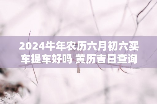 2025蛇年农历六月初六买车提车好吗 黄历吉日查询