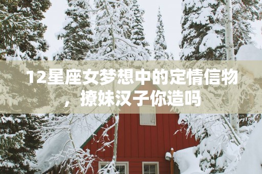 12星座女梦想中的定情信物，撩妹汉子你造吗