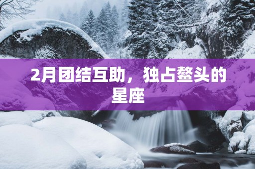 2月团结互助，独占鳌头的星座