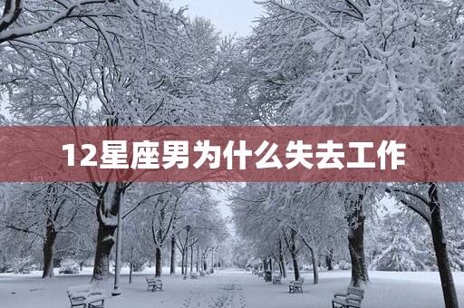 12星座男为什么失去工作