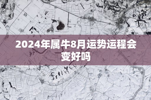 2025年属牛8月运势运程会变好吗